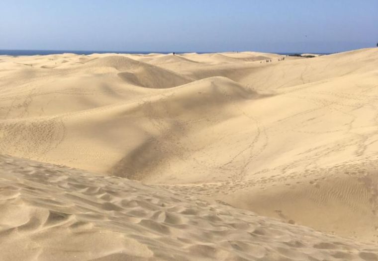 Sanddünen in der Wüste